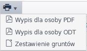 Widok opcji wydruku rozwijanych po najechaniu kursorem na ikonę drukarki