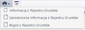 Widok okna z opcjami wydruku raportów po najechaniu kursorem na ikonę drukarki